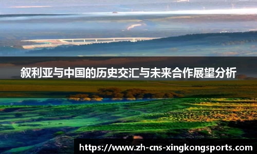 叙利亚与中国的历史交汇与未来合作展望分析